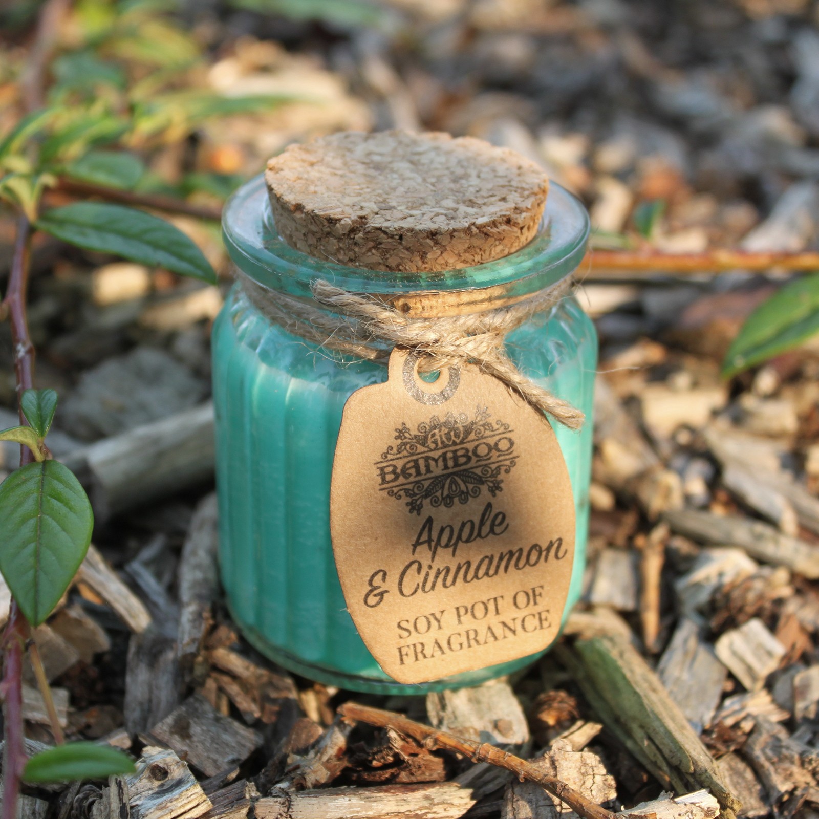 Apple & Cinnamon Candle