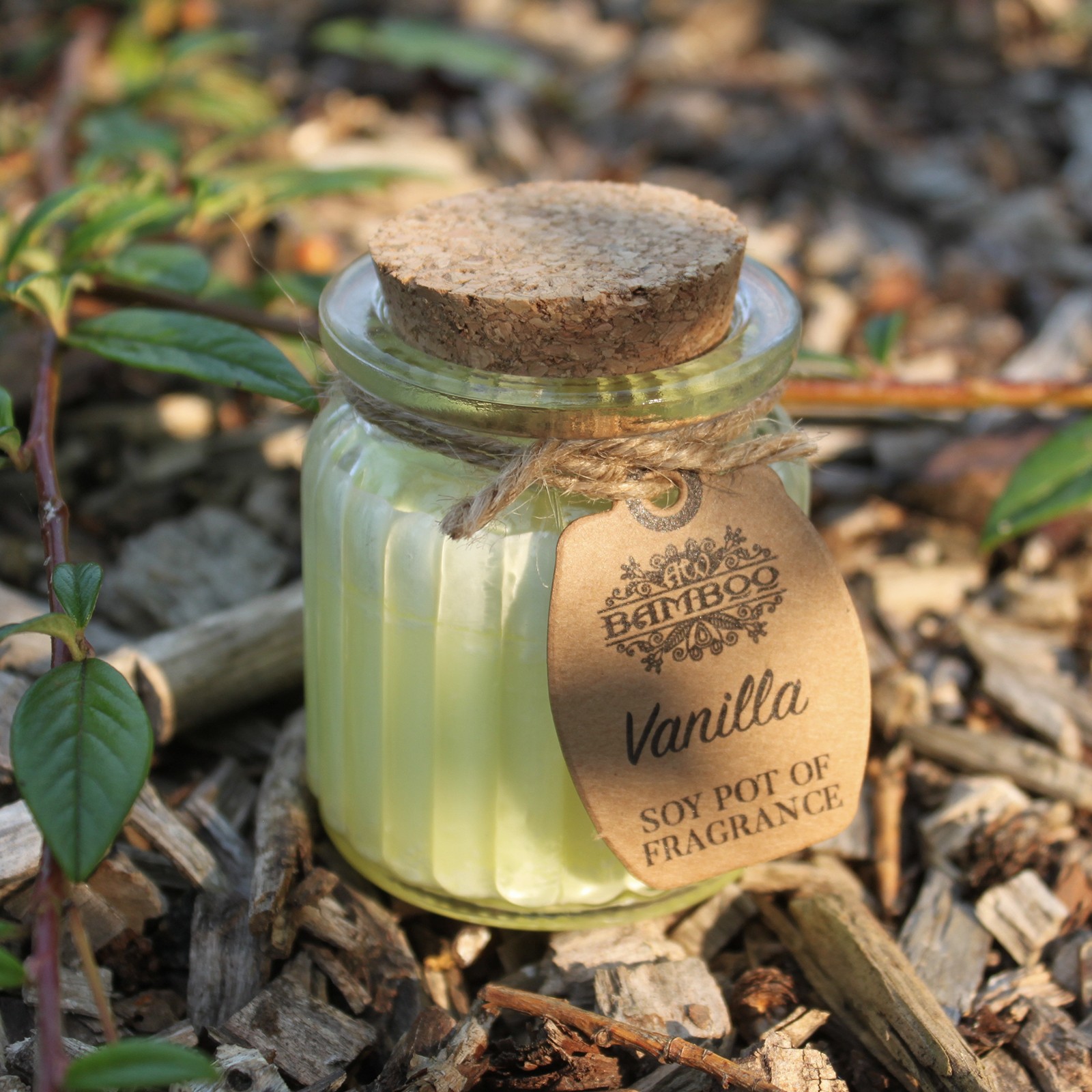 Vanilla Soy Pot Candle