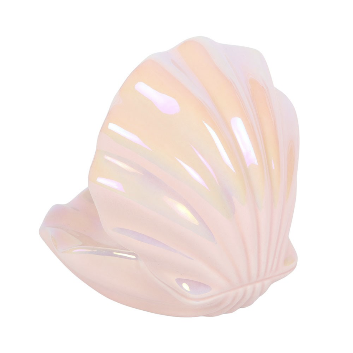 Clam Shell Trinket Dish - Image 2