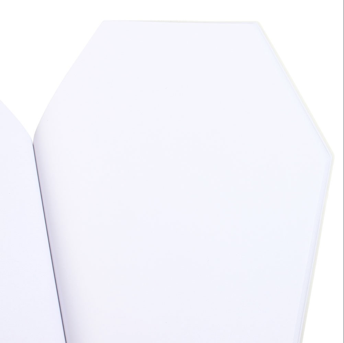 Coffin Shaped Notebook - Image 2
