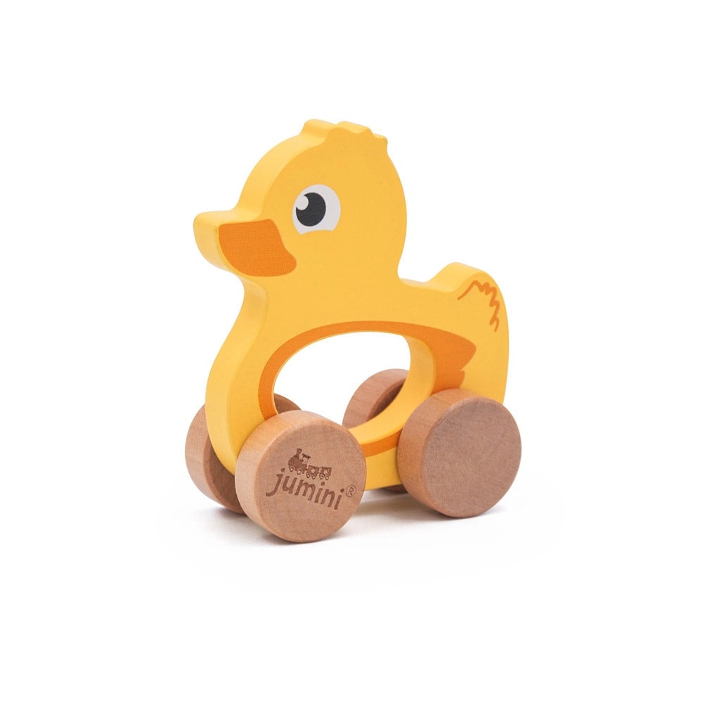 Duck Push Along