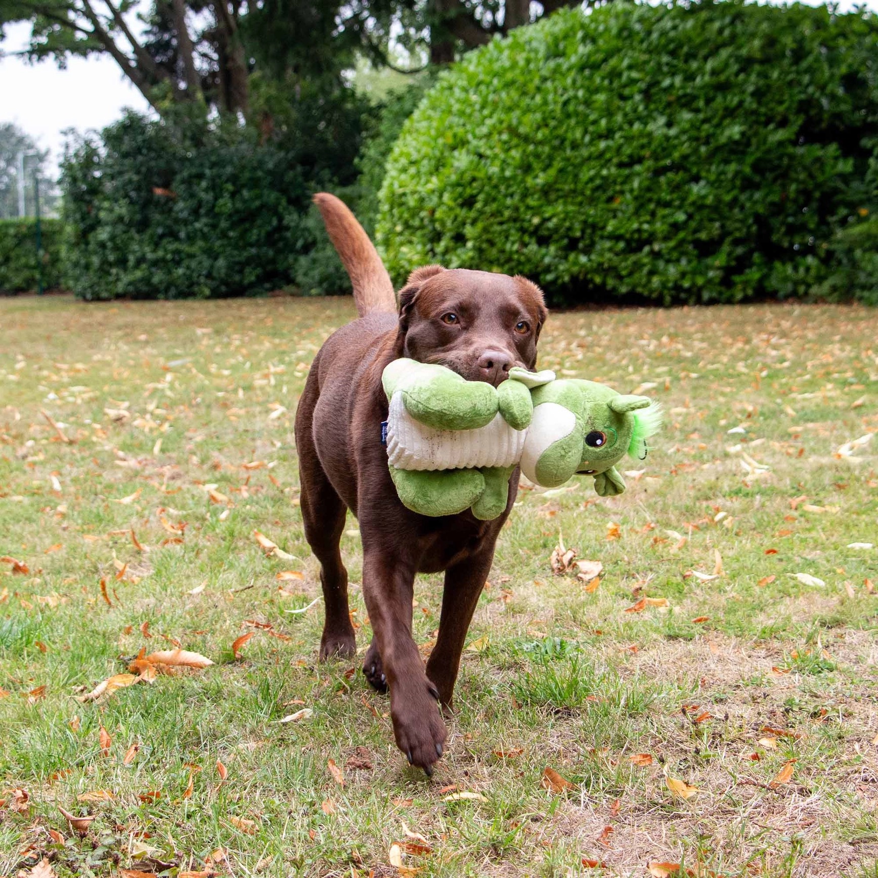Dragon Dog Toy - Image 2