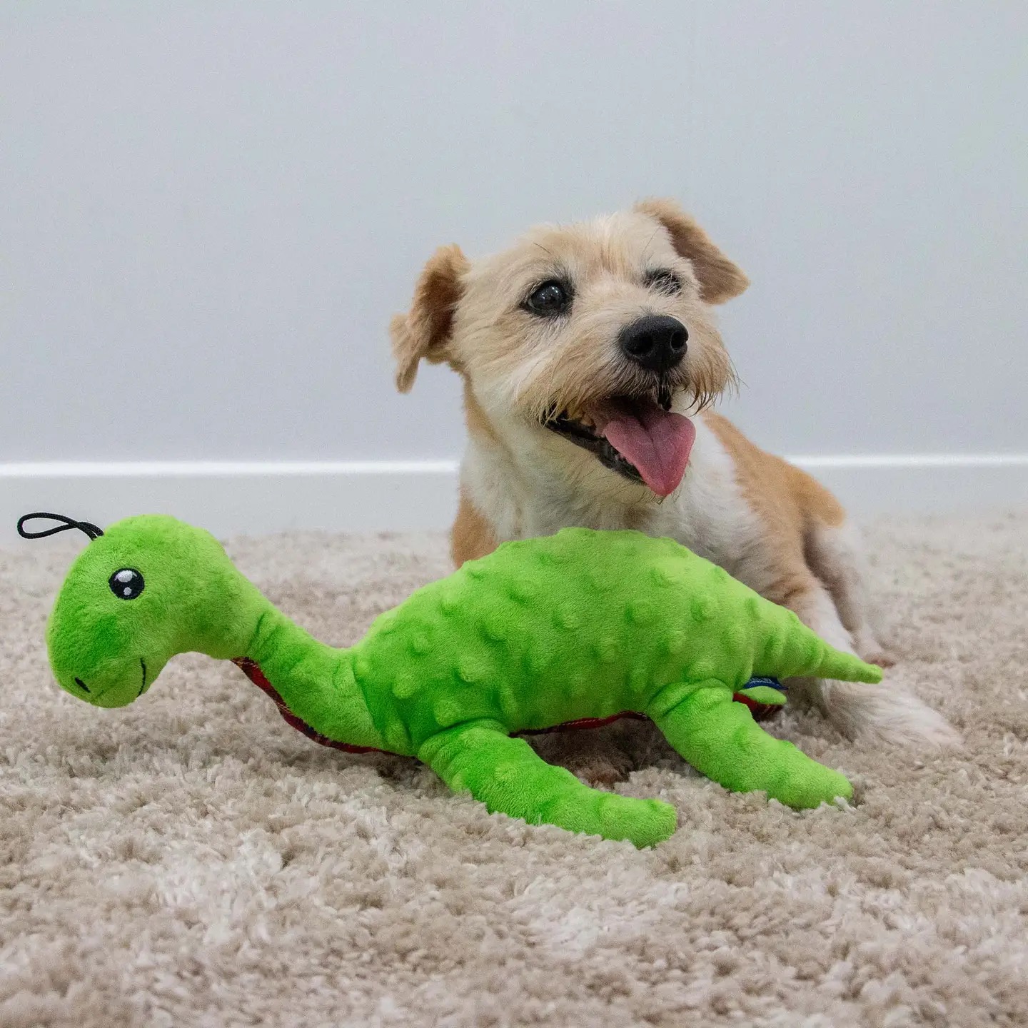 Ness Dog Toy - Image 2